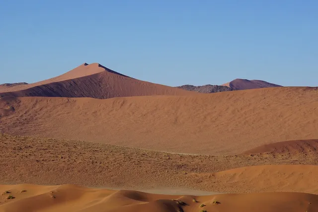 Stay in the desert