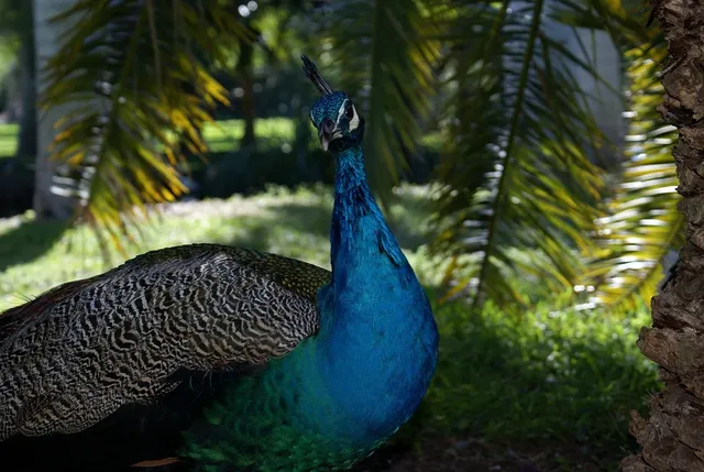 Amazon Vibes | 40 x 80 cm