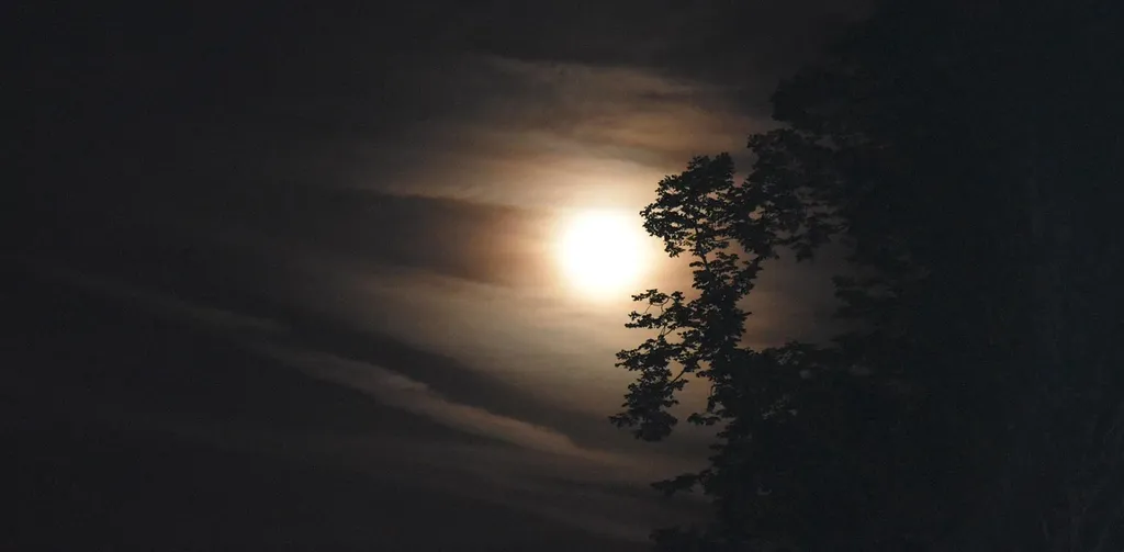 On the moon 2015