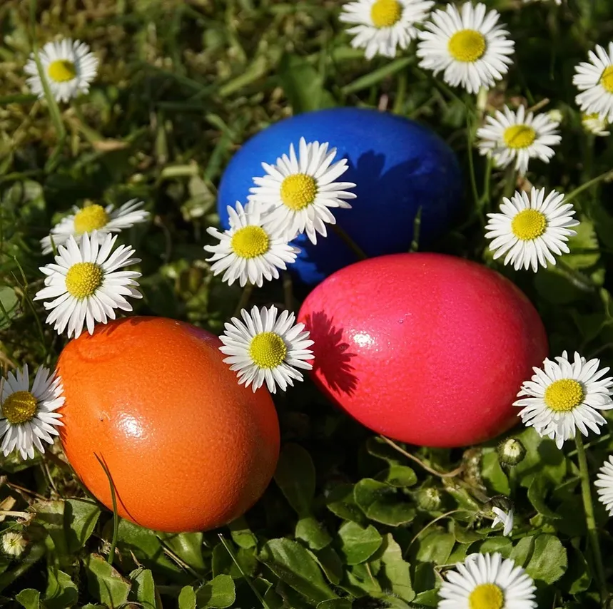 Spring 60x60