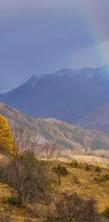 Rainbow 2015