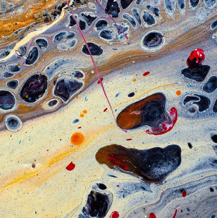 VERKAUFT! Wild Amazon 80x80